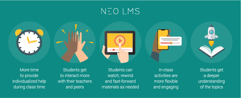 your muscles your muscles